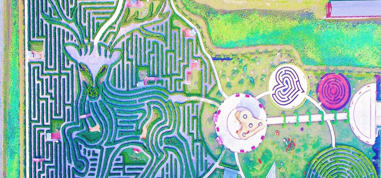 Awas Tersesat, Yuk Intip Taman Labirin Terpanjang di Dunia yang Mencapai 9 Kilometer