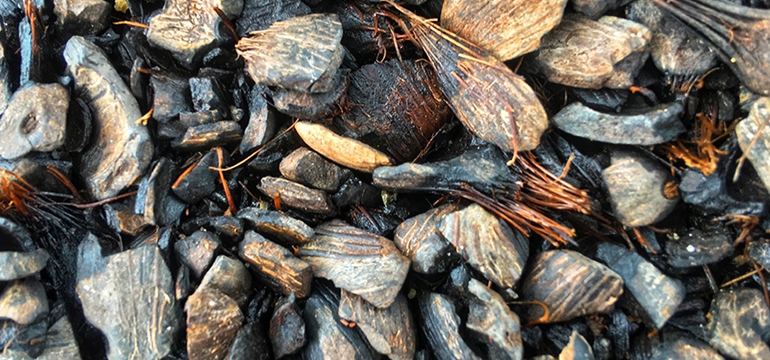 Arang Cangkang Kelapa Sawit, Energi Ramah Lingkungan dari Limbah Perkebunan
