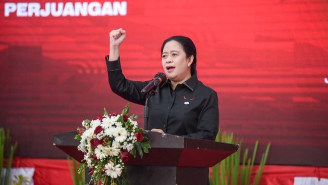 Mengenal Lebih Dekat Puan Maharani: Kader PDI-P yang Konsisten Perjuangkan Hak Rakyat