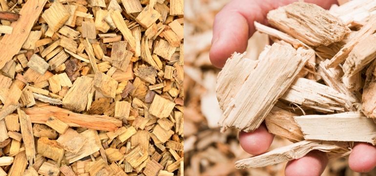 Dari Limbah Kayu Menjadi Energi, Peran Wood Chip dalam Transisi Energi
