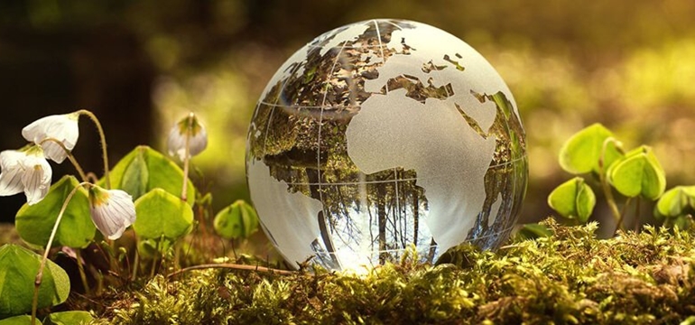 Aksi Iklim Dimulai dari Pembelajaran: Yuk, Kenali klimaaktiv-elearning.at!