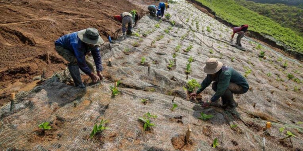 Reklamasi Tambang dan Upaya Menjaga Ekosistem Tetap Seimbang